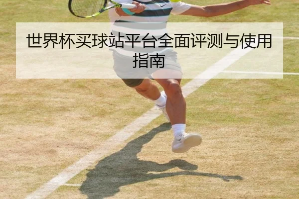 世界杯买球站平台全面评测与使用指南